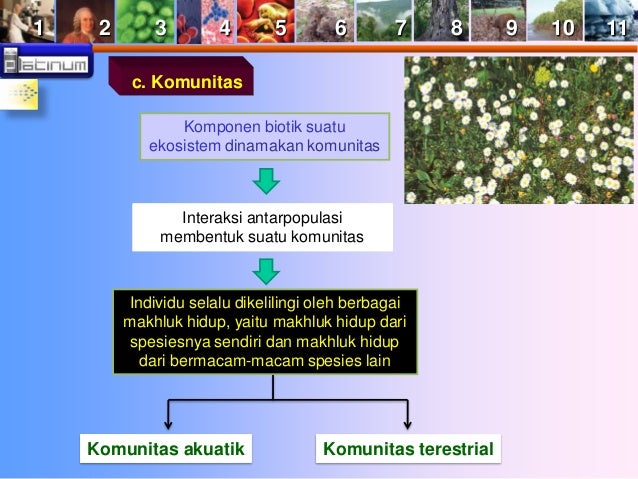 Buku x bab 10 (Ekosistem)