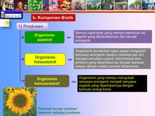 1 2 3 4 5 6 7 8 9 10 11 
b. Komponen Biotik 
1) Produsen 
Semua organisme yang mampu membuat zat 
organik yang dibutuhkannya dari zat-zat 
anorganik 
Organisme (tumbuhan hijau) dapat mengubah 
senyawa anorganik (karbon dioksida dan air) 
menjadi senyawa organik (karbohidrat atau 
amilum) yang diperlukannya dengan bantuan 
energi cahaya melalui proses fotosintesis 
Organisme yang mampu mengubah 
senyawa anorganik menjadi senyawa 
organik yang diperlukannya dengan 
bantuan energi kimia 
Organisme 
autotrof 
Organisme 
fotoautotrof 
Organisme 
kemoautotrof 
Tanaman bunga matahari 
berperan sebagai produsen 
 