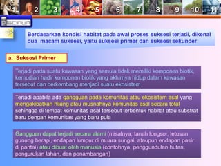 1 2 3 4 5 6 7 8 9 10 11 
Berdasarkan kondisi habitat pada awal proses suksesi terjadi, dikenal 
dua macam suksesi, yaitu suksesi primer dan suksesi sekunder 
a. Suksesi Primer 
Terjadi pada suatu kawasan yang semula tidak memiliki komponen biotik, 
kemudian hadir komponen biotik yang akhirnya hidup dalam kawasan 
tersebut dan berkembang menjadi suatu ekosistem 
Terjadi apabila ada gangguan pada komunitas atau ekosistem asal yang 
mengakibatkan hilang atau musnahnya komunitas asal secara total 
sehingga di tempat komunitas asal tersebut terbentuk habitat atau substrat 
baru dengan komunitas yang baru pula 
Gangguan dapat terjadi secara alami (misalnya, tanah longsor, letusan 
gunung berapi, endapan lumpur di muara sungai, ataupun endapan pasir 
di pantai) atau dibuat oleh manusia (contohnya, penggundulan hutan, 
pengurukan lahan, dan penambangan) 
 