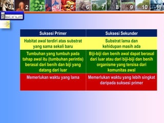 1 2 3 4 5 6 7 8 9 10 11 
Suksesi Primer Suksesi Sekunder 
Habitat awal terdiri atas substrat 
yang sama sekali baru 
Substrat lama dan 
kehidupan masih ada 
Tumbuhan yang tumbuh pada 
tahap awal itu (tumbuhan perintis) 
berasal dari benih dan biji yang 
datang dari luar 
Biji-biji dan benih awal dapat berasal 
dari luar atau dari biji-biji dan benih 
organisme yang tersisa dari 
komunitas awal 
Memerlukan waktu yang lama Memerlukan waktu yang lebih singkat 
daripada suksesi primer 
 