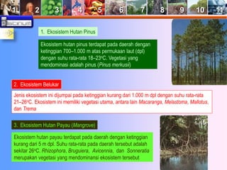 1 2 3 4 5 6 7 8 9 10 11 
1. Ekosistem Hutan Pinus 
Ekosistem hutan pinus terdapat pada daerah dengan 
ketinggian 700–1.000 m atas permukaan laut (dpl) 
dengan suhu rata-rata 18–23oC. Vegetasi yang 
mendominasi adalah pinus (Pinus merkusii) 
2. Ekosistem Belukar 
Jenis ekosistem ini dijumpai pada ketinggian kurang dari 1.000 m dpl dengan suhu rata-rata 
21–26oC. Ekosistem ini memiliki vegetasi utama, antara lain Macaranga, Melastoma, Mallotus, 
dan Trema 
3. Ekosistem Hutan Payau (Mangrove) 
Ekosistem hutan payau terdapat pada daerah dengan ketinggian 
kurang dari 5 m dpl. Suhu rata-rata pada daerah tersebut adalah 
sekitar 26oC. Rhizophora, Bruguiera, Avicennia, dan Sonneratia 
merupakan vegetasi yang mendominansi ekosistem tersebut 
 