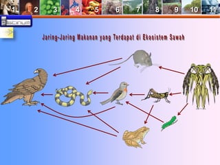 1 2 3 4 5 6 7 8 9 10 11 
 