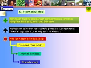 1 2 3 4 5 6 7 8 9 10 11 
E. Piramida Ekologi 
Merupakan piramida abstrak yang menggambarkan komposisi 
komponen biotik penyusun suatu ekosistem 
Memberikan gambaran kasar tentang pengaruh hubungan rantai 
makanan bagi kelompok ekologi secara menyeluruh 
Ada tiga macam piramida ekologi: 
Piramida jumlah individu 
Piramida biomassa 
Piramida energi 
 