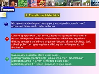 1 2 3 4 5 6 7 8 9 10 11 
1. Piramida Jumlah Individu 
Merupakan suatu diagram batang yang menunjukkan jumlah relatif 
organisme dalam suatu rantai makanan 
Data yang diperlukan untuk membuat piramida jumlah individu relatif 
mudah dikumpulkan. Namun, kelemahannya adalah tiap organisme 
dihitung sebagai satu individu tanpa memandang ukuran tubuhnya. Jadi, 
sebuah pohon beringin yang besar dihitung sama dengan satu sel 
fitoplankton. 
Dalam suatu ekosistem alami (misal danau): 
jumlah produsen (fitoplankton) > jumlah konsumen I (zooplankton) 
jumlah konsumen I > jumlah konsumen II (ikan kecil) 
jumlah konsumen II > jumlah konsumen III (ikan besar) 
 