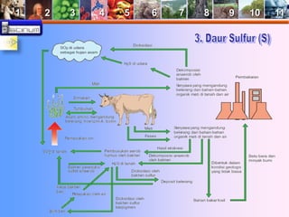 1 2 3 4 5 6 7 8 9 10 11 
 