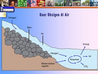 1 2 3 4 5 6 7 8 9 10 11 
Respirasi 
Energi 
Air 
CO2 
Oksigen 
Air 
Bahan-bahan 
organik 
Batu 
Oksigen 
