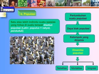 1 2 3 4 5 6 7 8 9 10 11 
b. Populasi 
Pertumbuhan 
suatu populasi 
Daya biak populasi 
Kelompok yang 
dinamis 
Dinamika 
populasi 
Natalitas Mortalitas Imigrasi 
Satu atau lebih individu suatu spesies 
yang hidup di suatu tempat disebut 
populasi (Latin: populus = rakyat, 
penduduk) 
 