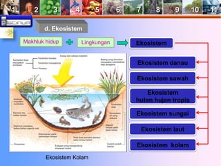 1 2 3 4 5 6 7 8 9 10 11 
d. Ekosistem 
Makhluk hidup Lingkungan 
Ekosistem 
Ekosistem danau 
Ekosistem sawah 
Ekosistem 
hutan hujan tropis 
Ekosistem sungai 
Ekosistem laut 
Ekosistem kolam 
Ekosistem Kolam 
 