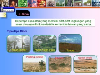 1 2 3 4 5 6 7 8 9 10 11 
e. Biom 
Beberapa ekosistem yang memiliki sifat-sifat lingkungan yang 
sama dan memiliki karakteristik komunitas hewan yang sama 
Tipe-Tipe Biom 
Hutan konifer Hutan hujan tropis Tundra 
Padang rumput Savana Gurun tropis 
 
