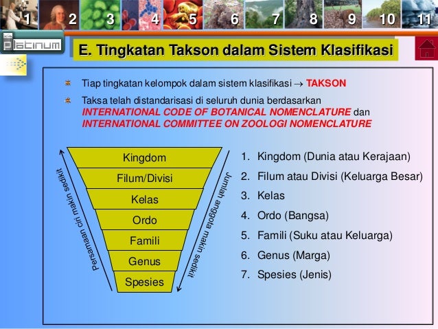 Buku X Bab 2 Klasifikasi Makhluk Hidup