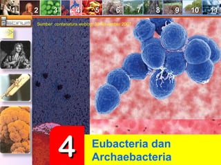 11 22 33 44 55 66 77 88 99 1100 1111 
Sumber: contanatura.weblog; 30 November 2007 
44 Eubacteria dan 
Archaebacteria 
 