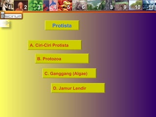 11 22 33 44 55 66 77 88 99 1010 1111
Protista
A. Ciri-Ciri Protista
B. Protozoa
C. Ganggang (Algae)
D. Jamur Lendir
 
