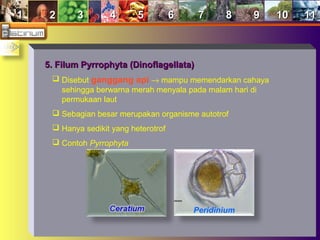 11 22 33 44 55 66 77 88 99 1010 1111
5. Filum Pyrrophyta (Dinoflagellata)5. Filum Pyrrophyta (Dinoflagellata)
 Disebut ganggang api → mampu memendarkan cahaya
sehingga berwarna merah menyala pada malam hari di
permukaan laut
 Sebagian besar merupakan organisme autotrof
 Hanya sedikit yang heterotrof
 Contoh Pyrrophyta
Peridinium
 
