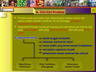 11 22 33 44 55 66 77 88 99 1010 1111
 Protista sudah jauh lebih maju dibandingkan bakteri karena sel-
selnya sudah memiliki membran inti sel sehingga termasuk
organisme eukariota
 Organisme Protista membuat bingung para ahli taksonomi karena ada
yang mirip hewan, ada yang mirip tumbuhan, dan ada yang mirip
jamur
bersel tunggal (uniseluler)bersel tunggal (uniseluler)
beberapa membentuk kolonibeberapa membentuk koloni
hanya sedikit yang bersel banyakhanya sedikit yang bersel banyak (multiseluler)(multiseluler)
merupakan organisme akuatikmerupakan organisme akuatik
bereproduksi secara aseksual dan seksualbereproduksi secara aseksual dan seksual
A. Ciri-Ciri ProtistaA. Ciri-Ciri Protista
 