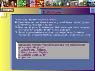 11 22 33 44 55 66 77 88 99 1010 1111
B. ProtozoaB. Protozoa
 Protozoa adalah Protista mirip hewan.
 Protozoa berasal dari bahasa Yunani yang berarti ”hewan pertama” (proto =
pertama/mula-mula, zoon = hewan).
 Protozoa merupakan Protista dengan ciri-ciri hewan, yaitu mampu bergerak
aktif (berpindah tempat) serta tidak memiliki dinding sel.
 Semua anggotanya berukuran mikroskopis dengan ukuran 5–100 mm,
meskipun beberapa jenis dapat mencapai panjang beberapa milimeter (mm).
Beberapa ahli membagi Protozoa menjadi empat filum berdasarkan alat
gerak yang dimilikinya, yaitu
1. Sarcodina atau Rhizopoda,
2. Mastigophora atau Flagellata,
3. Ciliata atau Ciliophora, dan
4. Sporozoa.
 