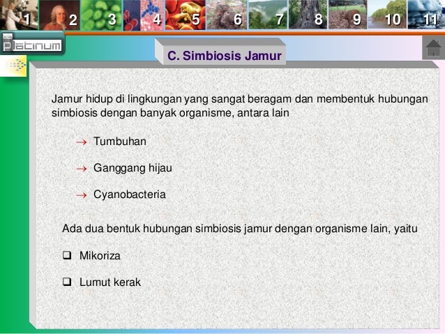 Buku x bab 6 (Jamur (Fungi))