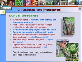 1 2 3 4 5 6 7 8 9 10 11 
C. Tumbuhan Paku (Pteridophyta) 
1. Ciri-Ciri Tumbuhan Paku 
 Tumbuhan darat  memiliki akar, batang, dan 
daun sesungguhnya 
 Akar  akar serabut tersusun atas jaringan 
epidermis, korteks, dan silinder pusat 
 Memiliki berkas pengangkut xilem dan floem 
 Daunnya menggulung ketika masih muda 
 Berdasar ukuran dan bentuk memiliki dua jenis 
daun tumbuhan  mikrofil dan makrofil 
 Berdasar fungsi memiliki dua jenis  tropofil 
dan sporofil 
 Di permukaan bawah daun paku yang fertil 
terdapat kumpulan sporangium  sori 
Paku tanduk rusa 
Paku sarang burung 
Contoh tumbuhan paku yang hidup sebagai 
epifit pada tumbuhan lain 
 