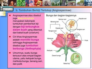 1 2 3 4 5 6 7 8 9 10 11 
b. Tumbuhan Berbiji Tertutup (Angiospermae) 
Angiospermae atau disebut 
juga Magnoliophyta 
merupakan kelompok 
tumbuhan pembentuk biji 
dengan biji terbungkus 
dalam buah yang dibentuk 
dari bakal buah (ovarium) 
Ciri khas Angiospermae 
adalah memiliki bunga 
sehingga Angiospermae 
disebut juga tumbuhan 
berbunga (Anthophyta) 
Umumnya, suatu bunga 
tersusun atas empat bagian 
utama, yaitu kelopak bunga, 
mahkota bunga, benang sari, 
dan putik 
Bunga dan bagian-bagiannya 
Kepala sari 
Tangkai sari 
Mahkota 
Kelopak 
Dasar bunga 
Bakal biji 
Kepala 
putik 
Tangkai 
putik 
Bakal 
buah 
Putik 
Benang sari 
Tangkai sari 
Serbuk sari 
Kepala sari 
 