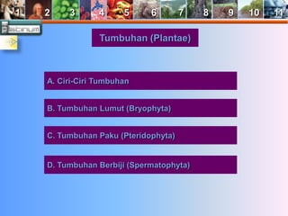 1 2 3 4 5 6 7 8 9 10 11 
Tumbuhan (Plantae) 
A. Ciri-Ciri Tumbuhan 
B. Tumbuhan Lumut (Bryophyta) 
C. Tumbuhan Paku (Pteridophyta) 
D. Tumbuhan Berbiji (Spermatophyta) 
 