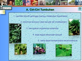 1 2 3 4 5 6 7 8 9 10 11 
A. Ciri-Ciri Tumbuhan 
1. memiliki klorofil sehingga mampu melakukan fotosintesis; 
2. tubuhnya tersusun atas banyak sel (multiseluler); 
3. merupakan organisme eukariota; 
4. tidak dapat berpindah tempat; 
5. serta dapat bereproduksi secara seksual. 
 