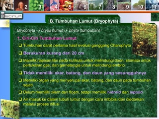 1 2 3 4 5 6 7 8 9 10 11 
B. Tumbuhan Lumut (Bryophyta) 
Bryophyta  bryos (lumut) + phyta (tumbuhan) 
1. Ciri-Ciri Tumbuhan Lumut 
 Tumbuhan darat pertama hasil evolusi ganggang Charophyta 
 Berukuran kurang dari 20 cm 
 Memiliki lapisan lilin pada kutikula untuk melindungi daun, stomata untuk 
pertukaran gas, dan gametangia untuk melindungi embrio 
 Tidak memiliki akar, batang, dan daun yang sesungguhnya 
 Memiliki organ yang menyerupai akar, batang, dan daun pada tumbuhan 
sejati 
 Belum memiliki xilem dan floem, tetapi memiliki hidroid dan leptoid 
 Air masuk ke dalam tubuh lumut dengan cara imbibisi dan diedarkan 
melalui proses difusi 
 