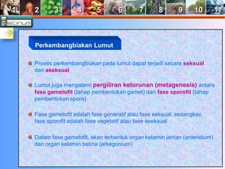 1 2 3 4 5 6 7 8 9 10 11 
Perkembangbiakan Lumut 
Proses perkembangbiakan pada lumut dapat terjadi secara seksual 
dan aseksual 
Lumut juga mengalami pergiliran keturunan (metagenesis) antara 
fase gametofit (tahap pembentukan gamet) dan fase sporofit (tahap 
pembentukan spora) 
Fase gametofit adalah fase generatif atau fase seksual, sedangkan 
fase sporofit adalah fase vegetatif atau fase aseksual 
Dalam fase gametofit, akan terbentuk organ kelamin jantan (anteridium) 
dan organ kelamin betina (arkegonium) 
 
