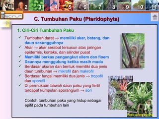 11 22 33 44 55 66 77 88 99 1100 1111 
CC.. TTuummbbuuhhaann PPaakkuu ((PPtteerriiddoopphhyyttaa)) 
1. Ciri-Ciri Tumbuhan Paku 
 Tumbuhan darat ® memiliki akar, batang, dan 
daun sesungguhnya 
 Akar ® akar serabut tersusun atas jaringan 
epidermis, korteks, dan silinder pusat 
 Memiliki berkas pengangkut xilem dan floem 
 Daunnya menggulung ketika masih muda 
 Berdasar ukuran dan bentuk memiliki dua jenis 
daun tumbuhan ® mikrofil dan makrofil 
 Berdasar fungsi memiliki dua jenis ® tropofil 
dan sporofil 
 Di permukaan bawah daun paku yang fertil 
terdapat kumpulan sporangium ® sori 
Paku tanduk rusa 
Paku sarang burung 
Contoh tumbuhan paku yang hidup sebagai 
epifit pada tumbuhan lain 
 