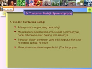 11 22 33 44 55 66 77 88 99 1100 1111 
D. Tumbuhan Berbiji (Spermatophyta) 
1. Ciri-Ciri Tumbuhan Berbiji 
♥ Adanya suatu organ yang berupa biji 
♥ Merupakan tumbuhan berkormus sejati (Cormophyta), 
dapat dibedakan akar, batang, dan daunnya 
♥ Terdapat sistem pembuluh yang tidak terputus dari akar 
ke batang sampai ke daun 
♥ Merupakan tumbuhan berpembuluh (Tracheophyta) 
 