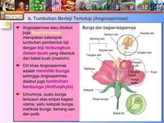 11 22 33 44 55 66 77 88 99 1100 1111 
b. Tumbuhan Berbiji Tertutup (Angiospermae) 
Angiospermae atau disebut 
juga Magnoliophyta 
merupakan kelompok 
tumbuhan pembentuk biji 
dengan biji terbungkus 
dalam buah yang dibentuk 
dari bakal buah (ovarium) 
Ciri khas Angiospermae 
adalah memiliki bunga 
sehingga Angiospermae 
disebut juga tumbuhan 
berbunga (Anthophyta) 
Umumnya, suatu bunga 
tersusun atas empat bagian 
utama, yaitu kelopak bunga, 
mahkota bunga, benang sari, 
dan putik 
Bunga dan bagian-bagiannya 
Serbuk sari Kepala sari 
Kepala sari 
Tangkai sari 
Mahkota 
Kelopak 
Dasar bunga 
Bakal biji 
Kepala 
putik 
Tangkai 
putik 
Bakal 
buah 
Putik 
Benang sari 
Tangkai sari 
 