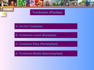 11 22 33 44 55 66 77 88 99 1100 1111 
TTuummbbuuhhaann ((PPllaannttaaee)) 
AA.. CCiirrii--CCiirrii TTuummbbuuhhaann 
BB.. TTuummbbuuhhaann LLuummuutt ((BBrryyoopphhyyttaa)) 
CC.. TTuummbbuuhhaann PPaakkuu ((PPtteerriiddoopphhyyttaa)) 
DD.. TTuummbbuuhhaann BBeerrbbiijjii ((SSppeerrmmaattoopphhyyttaa)) 
 