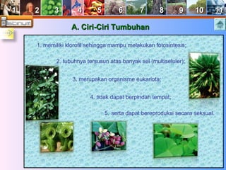 11 22 33 44 55 66 77 88 99 1100 1111 
AA.. CCiirrii--CCiirrii TTuummbbuuhhaann 
1. memiliki klorofil sehingga mampu melakukan fotosintesis; 
2. tubuhnya tersusun atas banyak sel (multiseluler); 
3. merupakan organisme eukariota; 
4. tidak dapat berpindah tempat; 
5. serta dapat bereproduksi secara seksual. 
 