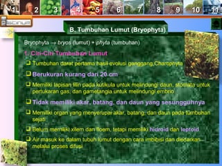 11 22 33 44 55 66 77 88 99 1100 1111 
B. Tumbuhan Lumut (Bryophyta) 
Bryophyta ® bryos (lumut) + phyta (tumbuhan) 
1. Ciri-Ciri Tumbuhan Lumut 
 Tumbuhan darat pertama hasil evolusi ganggang Charophyta 
Berukuran kurang dari 20 cm 
 Memiliki lapisan lilin pada kutikula untuk melindungi daun, stomata untuk 
pertukaran gas, dan gametangia untuk melindungi embrio 
Tidak memiliki akar, batang, dan daun yang sesungguhnya 
 Memiliki organ yang menyerupai akar, batang, dan daun pada tumbuhan 
sejati 
 Belum memiliki xilem dan floem, tetapi memiliki hidroid dan leptoid 
 Air masuk ke dalam tubuh lumut dengan cara imbibisi dan diedarkan 
melalui proses difusi 
 