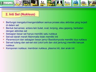 2. Inti Sel (Nukleus)
Berfungsi mengatur/mengendalikan semua proses atau aktivitas yang terjadi
di dalam sel
Bentuk bervar...