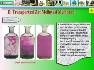 1. Difusi
1. Difusi
Merupakan pergerakan atau
Merupakan pergerakan atau
perpindahan partikel atau
perpindahan partikel ata...