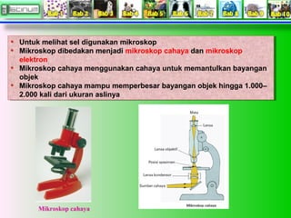 Untuk melihat sel digunakan mikroskop
Untuk melihat sel digunakan mikroskop
Mikroskop dibedakan menjadi mikroskop cahaya d...