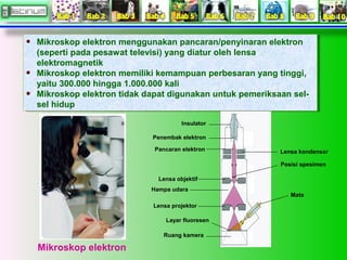 Mikroskop elektron menggunakan pancaran/penyinaran elektron 
(seperti pada pesawat televisi) yang diatur oleh lensa 
elektromagnetik 
Mikroskop elektron memiliki kemampuan perbesaran yang tinggi, 
yaitu 300.000 hingga 1.000.000 kali 
Mikroskop elektron tidak dapat digunakan untuk pemeriksaan sel-sel 
Mikroskop elektron menggunakan pancaran/penyinaran elektron 
(seperti pada pesawat televisi) yang diatur oleh lensa 
elektromagnetik 
Mikroskop elektron memiliki kemampuan perbesaran yang tinggi, 
yaitu 300.000 hingga 1.000.000 kali 
Mikroskop elektron tidak dapat digunakan untuk pemeriksaan sel-sel 
hidup 
hidup 
Mikroskop elektron 
Insulator 
Penembak elektron 
Pancaran elektron 
Lensa objektif 
Hampa udara 
Lensa projektor 
Layar fluoresen 
Ruang kamera 
Lensa kondensor 
Posisi spesimen 
Mata 
 