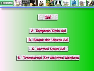 SelSelSelSel
A. Komponen Kimia SelA. Komponen Kimia SelA. Komponen Kimia SelA. Komponen Kimia Sel
B. Bentuk dan Ukuran SelB. Bentuk dan Ukuran SelB. Bentuk dan Ukuran SelB. Bentuk dan Ukuran Sel
C. Anatomi Umum SelC. Anatomi Umum SelC. Anatomi Umum SelC. Anatomi Umum Sel
D. Transportasi Zat Melintasi MembranD. Transportasi Zat Melintasi MembranD. Transportasi Zat Melintasi MembranD. Transportasi Zat Melintasi Membran
 