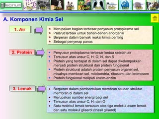 2. Protein2. Protein
3. Lemak3. Lemak
A. Komponen Kimia Sel
1. Air1. Air Merupakan bagian terbesar penyusun protoplasma sel
Pelarut terbaik untuk bahan-bahan anorganik
Berperan dalam banyak reaksi kimia penting
Sebagai penyerap panas
Merupakan bagian terbesar penyusun protoplasma sel
Pelarut terbaik untuk bahan-bahan anorganik
Berperan dalam banyak reaksi kimia penting
Sebagai penyerap panas
Penyusun protoplasma terbesar kedua setelah air
Tersusun atas unsur C, H, O, N, dan S
Protein yang terdapat di dalam sel dapat dikelompokkan
menjadi protein struktural dan protein fungsional
Protein struktural adalah protein penyusun organel sel,
misalnya membran sel, mitokondria, ribosom, dan kromosom
Protein fungsional meliputi enzim-enzim
Penyusun protoplasma terbesar kedua setelah air
Tersusun atas unsur C, H, O, N, dan S
Protein yang terdapat di dalam sel dapat dikelompokkan
menjadi protein struktural dan protein fungsional
Protein struktural adalah protein penyusun organel sel,
misalnya membran sel, mitokondria, ribosom, dan kromosom
Protein fungsional meliputi enzim-enzim
Berperan dalam pembentukan membran sel dan struktur
membran di dalam sel
Merupakan sumber energi bagi sel
Tersusun atas unsur C, H, dan O
Satu molekul lemak tersusun atas tiga molekul asam lemak
dan satu molekul gliserol (triasil gliserol)
Berperan dalam pembentukan membran sel dan struktur
membran di dalam sel
Merupakan sumber energi bagi sel
Tersusun atas unsur C, H, dan O
Satu molekul lemak tersusun atas tiga molekul asam lemak
dan satu molekul gliserol (triasil gliserol)
 
