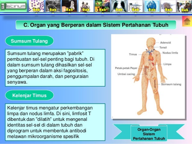 Buku Xi Bab 10 Sistem Pertahanan Tubuh