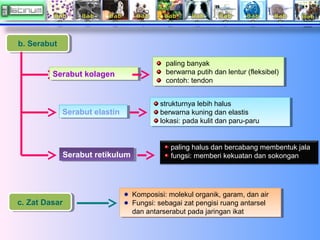 b. Serabut
b. Serabut
paling banyak
paling banyak
berwarna putih dan lentur (fleksibel)
berwarna putih dan lentur (fleksib...
