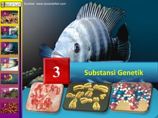 1 
2 
3 
4 
5 
6 
7 
Sumber: www.durantefish.com 
3 Substansi Genetik 
 