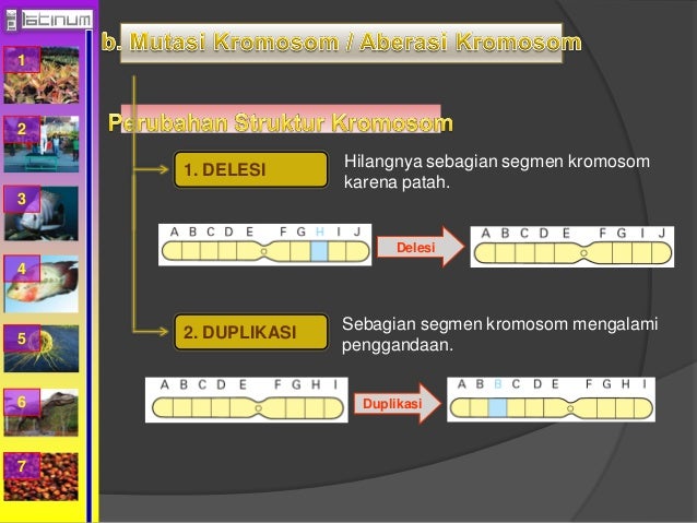 Buku xii bab 5 (Mutasi) Buku xii bab 5 (Mutasi)