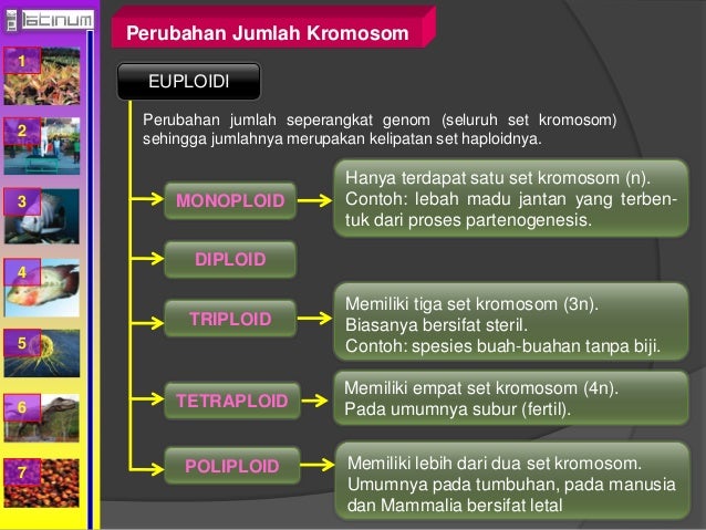 Buku xii bab 5 (Mutasi) Buku xii bab 5 (Mutasi)