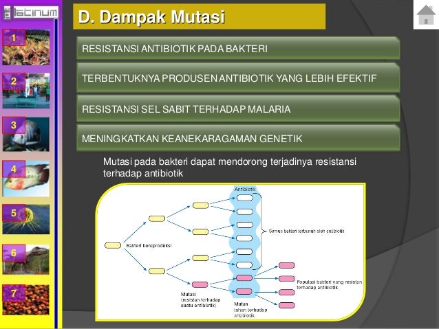 Buku xii bab 5 (Mutasi)