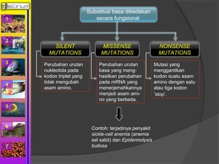 1 
2 
3 
4 
5 
6 
7 
Substitusi basa dibedakan 
secara fungsional 
SILENT 
MUTATIONS 
MISSENSE 
MUTATIONS 
NONSENSE 
MUTATIONS 
Perubahan urutan 
nukleotida pada 
kodon triplet yang 
tidak mengubah 
asam amino. 
Perubahan urutan 
basa yang meng-hasilkan 
perubahan 
pada mRNA yang 
menerjemahkannya 
menjadi asam ami-no 
yang berbeda. 
Mutasi yang 
menggantikan 
kodon suatu asam 
amino dengan satu 
atau tiga kodon 
’stop’. 
Contoh: terjadinya penyakit 
sickle-cell anemia (anemia 
sel sabit) dan Epidermolysis 
bullosa 
 