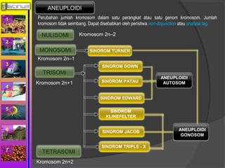 1 
2 
3 
4 
5 
6 
7 
NULISOMI 
MONOSOMI 
TRISOMI 
TETRASOMI 
SINDROM TURNER 
ANEUPLOIDI 
AUTOSOM 
ANEUPLOIDI 
GONOSOM 
ANEUPLOIDI 
Perubahan jumlah kromosom dalam satu perangkat atau satu genom kromosom. Jumlah 
kromosom tidak seimbang. Dapat disebabkan oleh peristiwa non-disjunction atau anafase lag. 
Kromosom 2n–2 
Kromosom 2n–1 
Kromosom 2n+1 
Kromosom 2n+2 
SINDROM DOWN 
SINDROM PATAU 
SINDROM EDWARD 
SINDROM 
KLINEFELTER 
SINDROM JACOB 
SINDROM TRIPLE - X 
 
