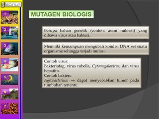 1 
2 
3 
4 
5 
6 
7 
Berupa bahan genetik (contoh: asam nukleat) yang 
dibawa virus atau bakteri. 
Memiliki kemampuan mengubah kondisi DNA sel suatu 
organisme sehingga terjadi mutasi. 
Contoh virus: 
Bakteriofag, virus rubella, Cytomegalovirus, dan virus 
hepatitis. 
Contoh bakteri: 
Agrobacterium ® dapat menyebabkan tumor pada 
tumbuhan tertentu. 
 