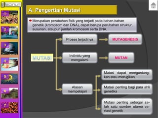 1 
2 
3 
4 
5 
6 
7 
AA.. PPeennggeerrttiiaann MMuuttaassii 
Merupakan perubahan fisik yang terjadi pada bahan-bahan 
genetik (kromosom dan DNA), dapat berupa perubahan struktur, 
susunan, ataupun jumlah kromosom serta DNA. 
Proses terjadinya MUTAGENESIS 
Individu yang 
mengalami MUTAN 
Alasan 
mempelajari 
Mutasi dapat menguntung-kan 
atau merugikan 
Mutasi penting bagi para ahli 
genetika 
Mutasi penting sebagai sa-lah 
satu sumber utama va-riasi 
genetik 
 