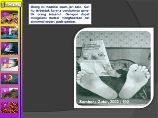 1 
2 
3 
4 
5 
6 
7 
Orang ini memiliki enam jari kaki. Ciri 
itu terbentuk karena berubahnya gene-tik 
orang tersebut. Gen-gen dapat 
mengalami mutasi menghasilkan ciri 
abnormal seperti pada gambar. 
Sumber : Gater, 2002 : 190 
 