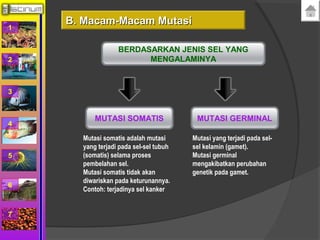 1 
2 
3 
4 
5 
6 
7 
BERDASARKAN JENIS SEL YANG 
MENGALAMINYA 
MUTASI SOMATIS MUTASI GERMINAL 
Mutasi somatis adalah mutasi 
yang terjadi pada sel-sel tubuh 
(somatis) selama proses 
pembelahan sel. 
Mutasi somatis tidak akan 
diwariskan pada keturunannya. 
Contoh: terjadinya sel kanker 
Mutasi yang terjadi pada sel-sel 
kelamin (gamet). 
Mutasi germinal 
mengakibatkan perubahan 
genetik pada gamet. 
BB.. MMaaccaamm--MMaaccaamm MMuuttaassii 
 